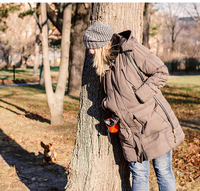 Dog Training Rewards: Choosing the Best Dog Training Treats | SpotOn Dog Training Rewards: Choosing the Best Dog Training Treats | SpotOn