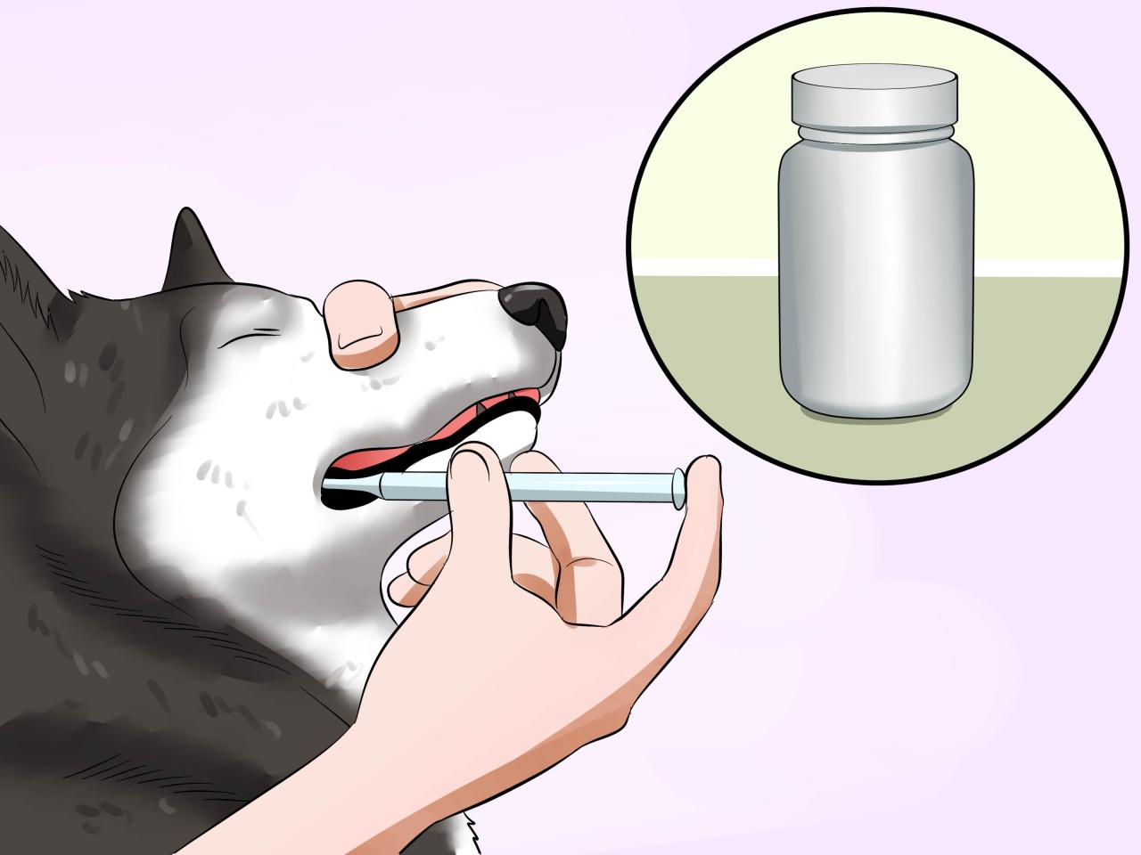 How to Desensitize Your Dog to City Noises with K9U Chicago How to Desensitize Your Dog to City Noises with K9U Chicago