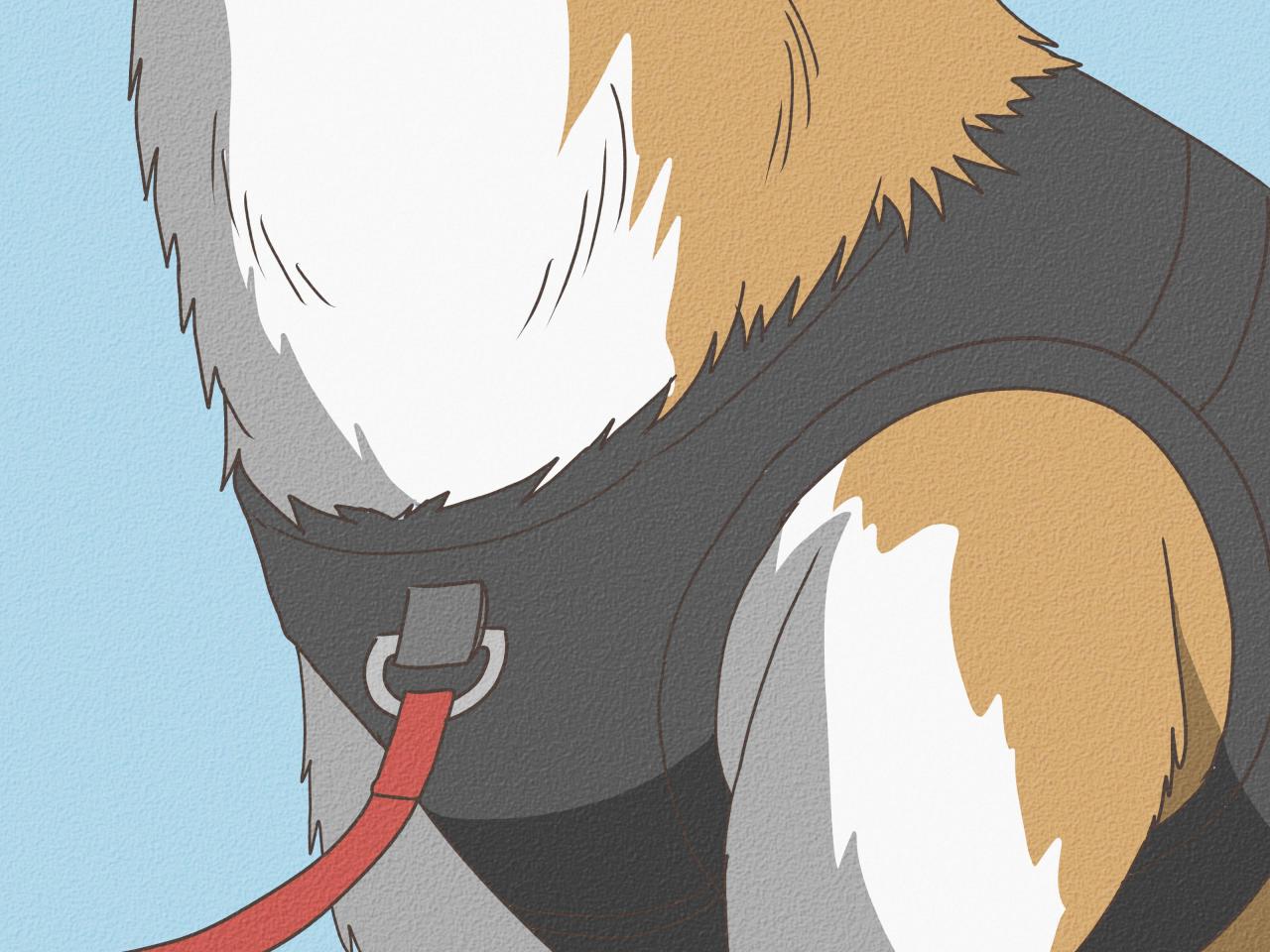 How to Put on a Dog Harness: An Expert Guide