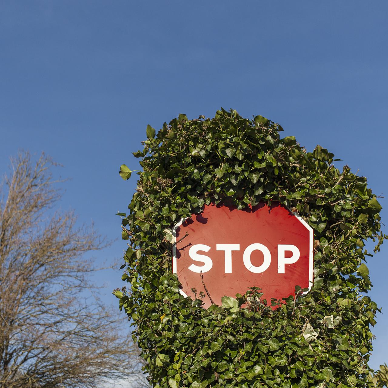 ¿Qué quiere decir la palabra STOP? - Haras Dadinco