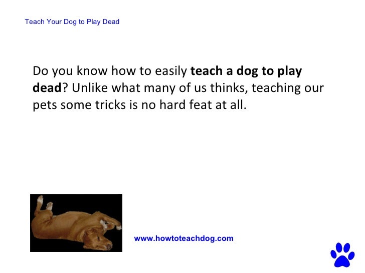 How to Teach Your Dog to Play Dead How to Teach Your Dog to Play Dead